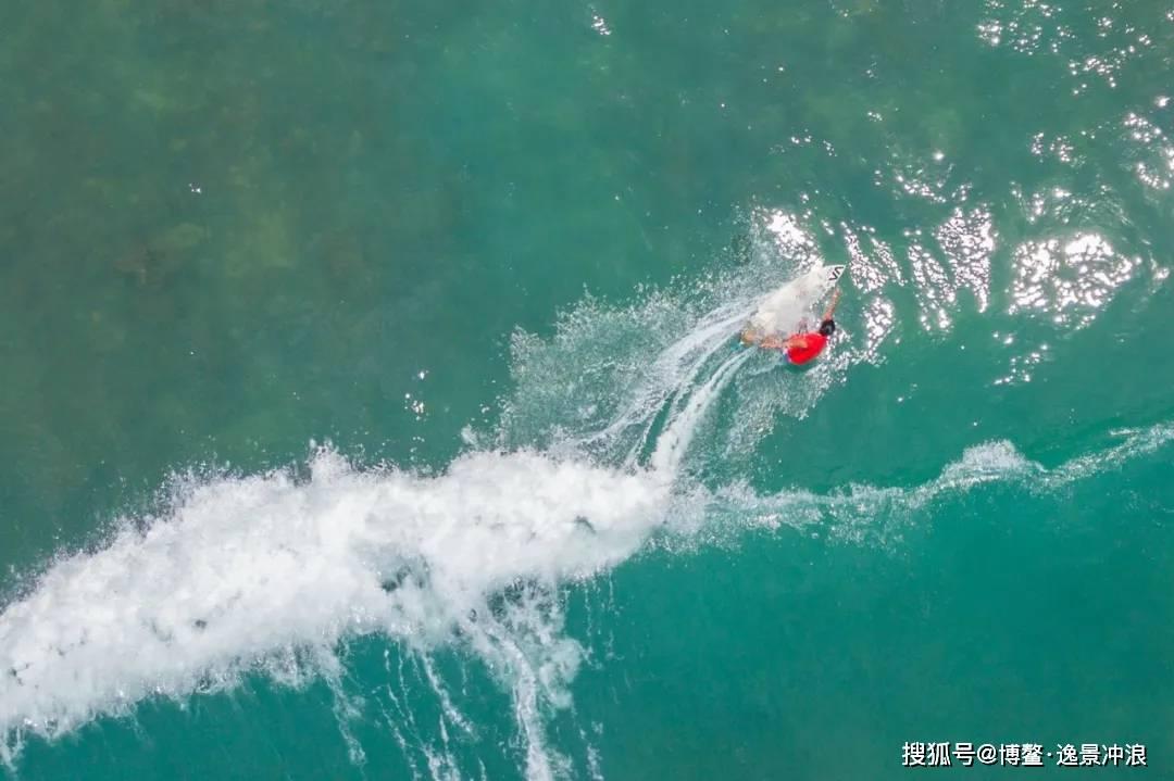 黑鲨2手机好不好?知识星球-专注知识分享与交流